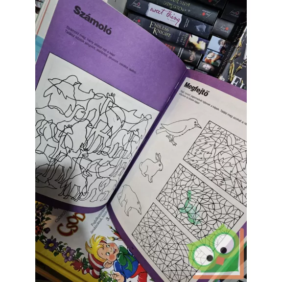 Csörgő Anikó, Füzesi Zsuzsa: Zöld könyv (Csodaország) (ritka)