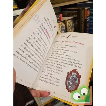   Geronimo Stilton: Csonkamancsú Miau kastélya  (Geronimo Stilton 20.)