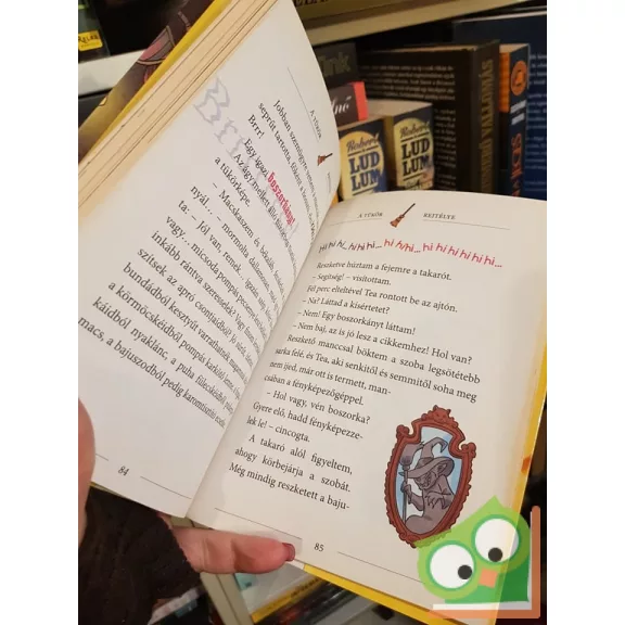 Geronimo Stilton: Csonkamancsú Miau kastélya  (Geronimo Stilton 20.)