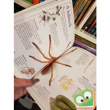 Alexandra Parsons: Csudálatos pókok