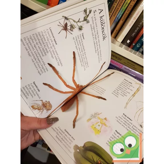 Alexandra Parsons: Csudálatos pókok