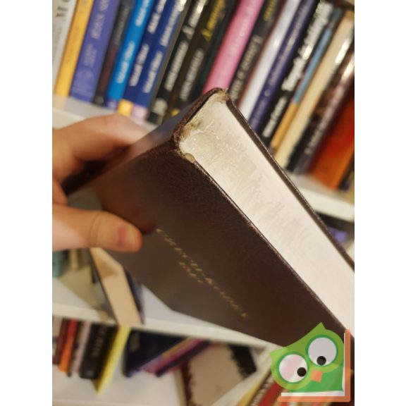 Czech-kódex 1513 - Kinizsi Pálné imádságoskönyve