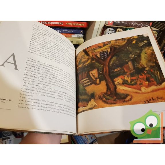 Kratochwill Mimi: Czóbel Béla (A magyar festészet mesterei 11.)