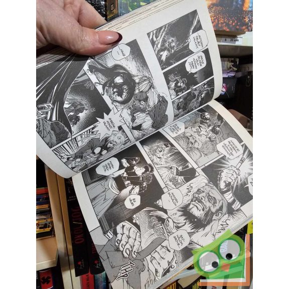 Hideyuki Kikuchi - Saiko Takaki: D, a vámpírvadász 3. (D, a vámpírvadász 3.)