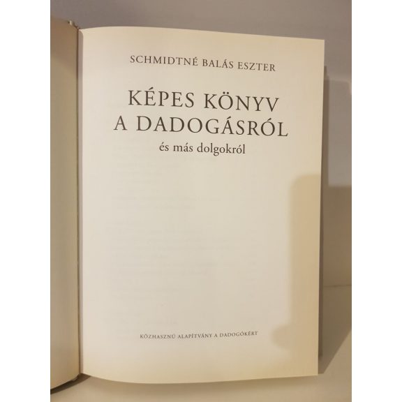 Schmidtné Balás Eszter: Képes könyv a dadogásról és más dolgokról