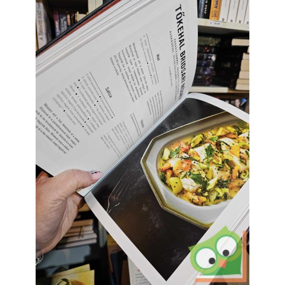 Thomas Rode Andersen: Dán paleolit (újszerű)