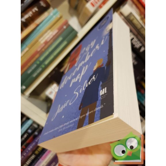 Josie Silver: Egy decemberi nap