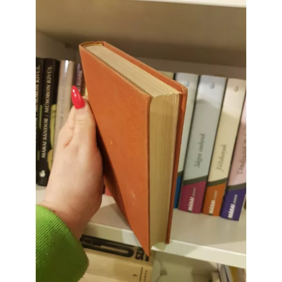 Mikola Árpád: A nagy bábjáték (Dedikált)