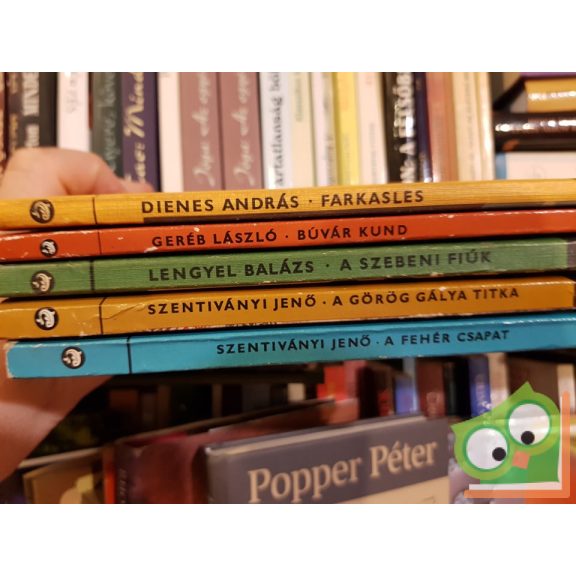 Delfin könyvek csomag 5 db (5. csomag)