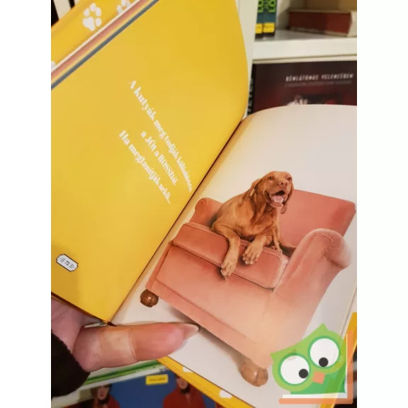 Magos Judit: Demény bölcsességei - 50 bizonyíték, hogy a kutyák okosabbak az embereknél