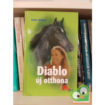 Gabi Adam: Diablo új otthona (Diablo 3.)