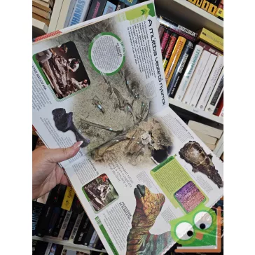   John Woodward: Dinoszauruszok 3D-ben, vadászat közben, valódi hanggal