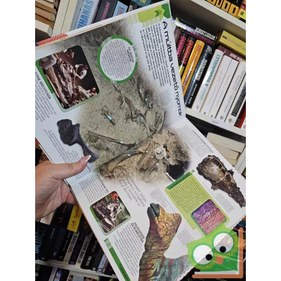 John Woodward: Dinoszauruszok 3D-ben, vadászat közben, valódi hanggal