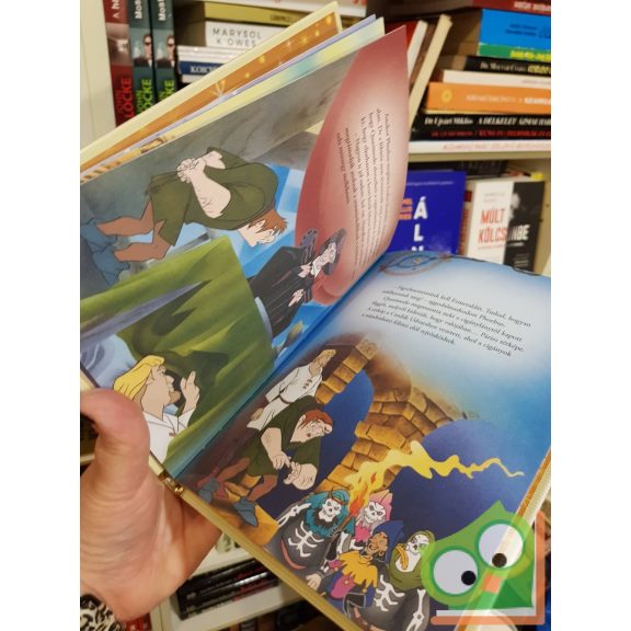 Walt Disney - A Notre Dame-i toronyőr (Disney - Mesék az aranygyűjteményből 77.)