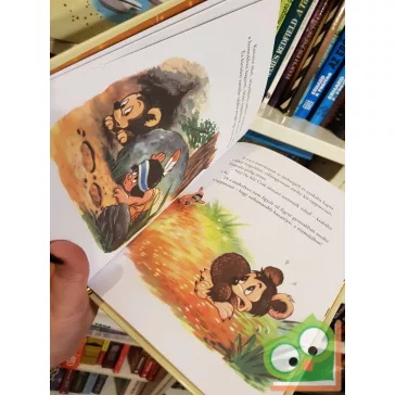   Walt Disney - Kicsi Hiawatha (Disney - Mesék az aranygyűjteményből 87.)