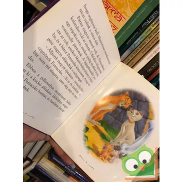   Disney családi mesegyűjtemény – Engedd, hogy a szíved vezessen