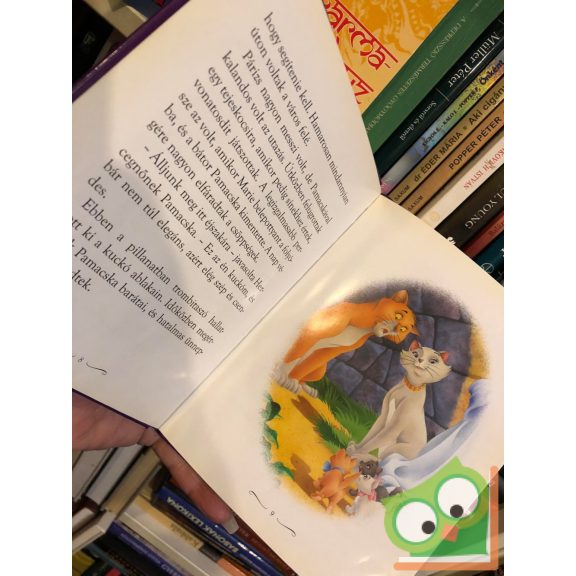 Disney családi mesegyűjtemény – Engedd, hogy a szíved vezessen