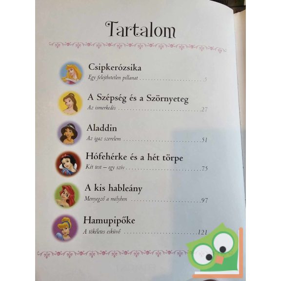 Pánya Judit (szerk.): Disney hercegnők - Kedvenc hercegnős történeteim (Disney Princess)