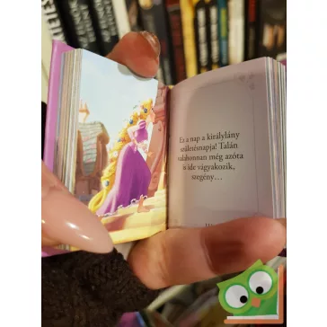Disney minikönyvek 23. - Aranyhaj