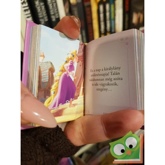 Disney minikönyvek 23. - Aranyhaj
