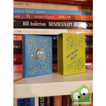 Disney minikönyvek 31. - Egy bogár élete