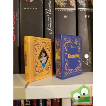 Disney minikönyvek 60. - Encanto (újszerű)
