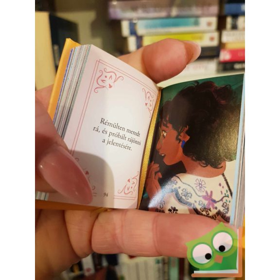 Disney minikönyvek 60. - Encanto (újszerű)