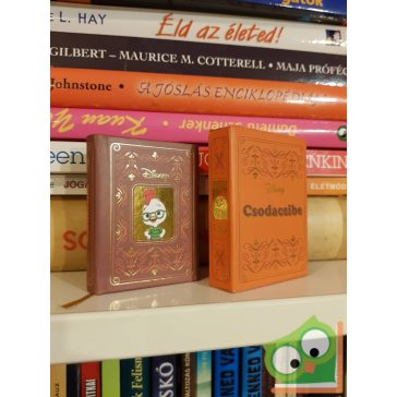 Disney minikönyvek 16. -  Csodacsibe