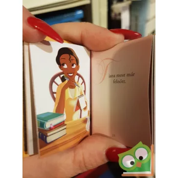 Disney minikönyvek 13. -  A hercegnő és a béka
