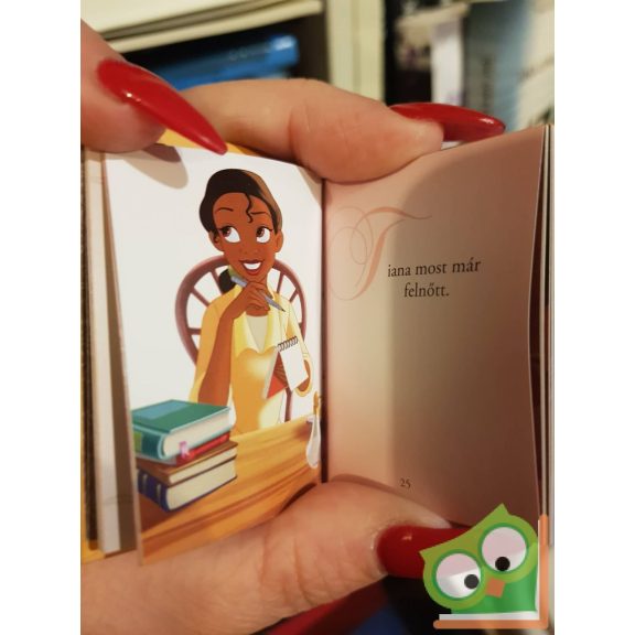 Disney minikönyvek 13. -  A hercegnő és a béka