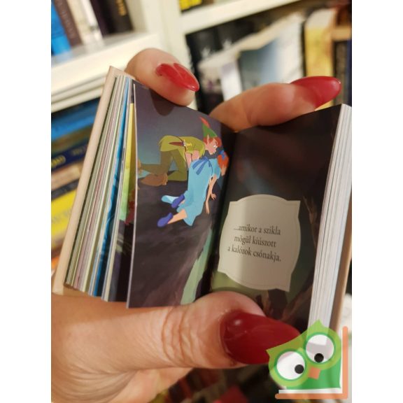 Disney minikönyvek 8. - Pán Péter