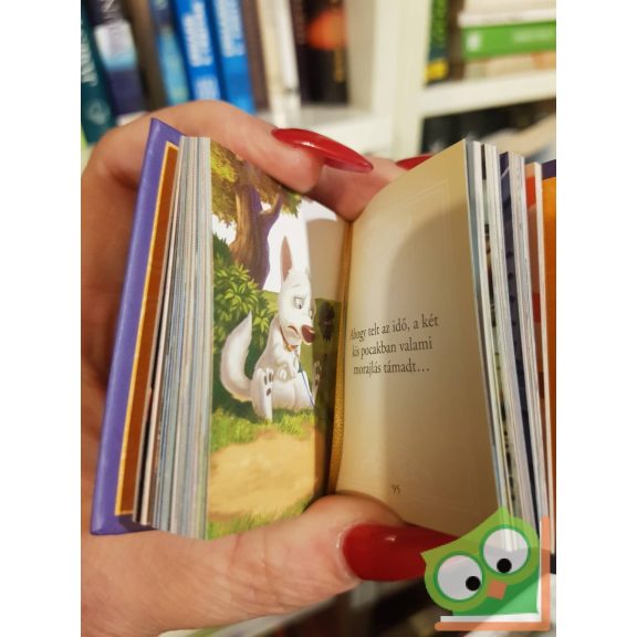 Disney minikönyvek 14. - Volt