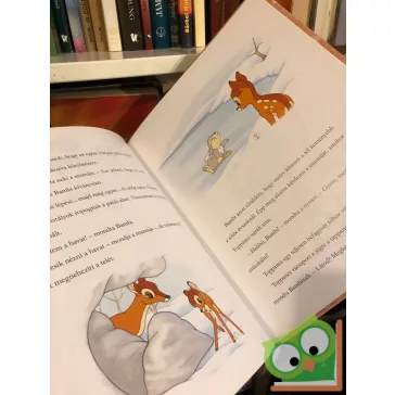 Disney: Pinokkio és Bambi (karácsonyi mesék)