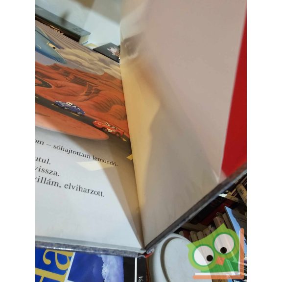 Walt Disney - Verdák (Verdák 1.) (ritka)