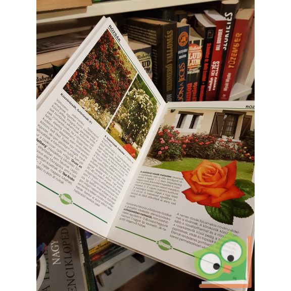 Schmidt Gábor: Díszfák és kertek képekben