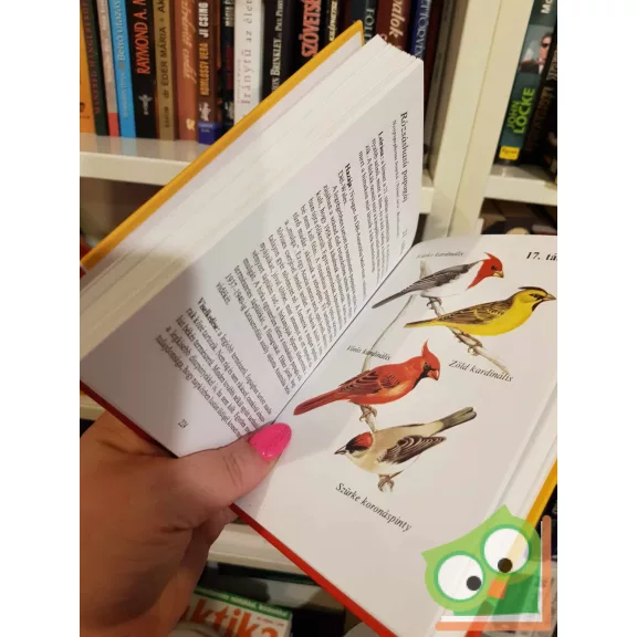 Siroki Zoltán: Díszmadarak a lakásban (Állatbarátok könyvtára)