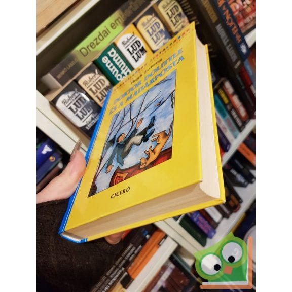 Hugh Lofting: Doktor Dolittle és a madárposta - Klasszikusok fiataloknak (Ritka)