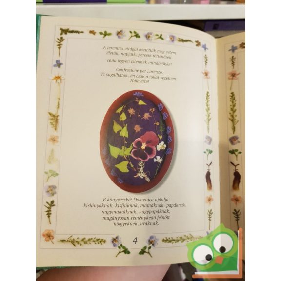 Erdélyi Lili Ada: Domenica meséje