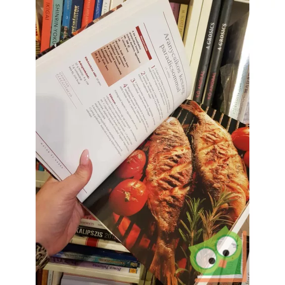 Dr. Oetker - Grillezés szabadban vagy lakásban (ritka)