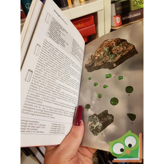 Walter Schumann: Drágakő biblia