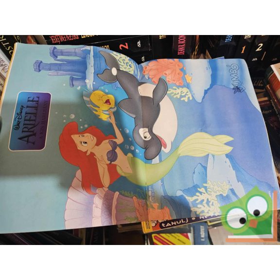 Dumbó magazin 1997. (6 lap), poszterrel