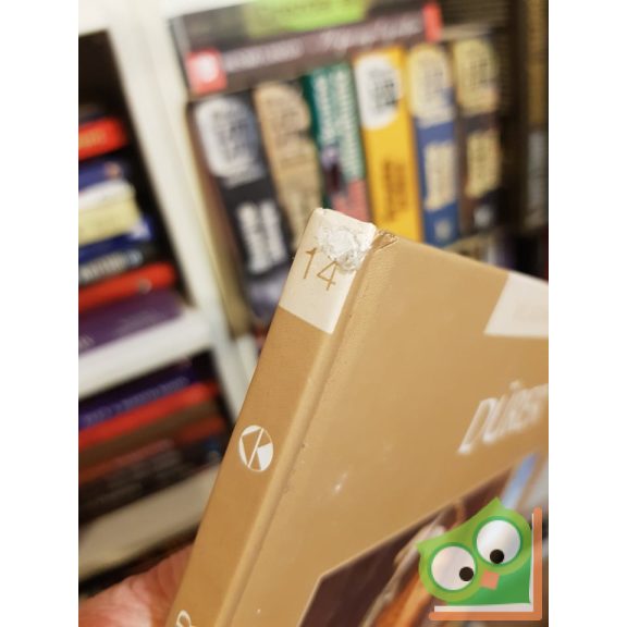 Dürer (Világhíres festők 14.)