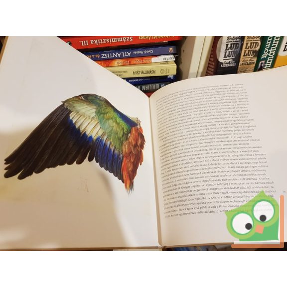 Dürer (Világhíres festők 14.)