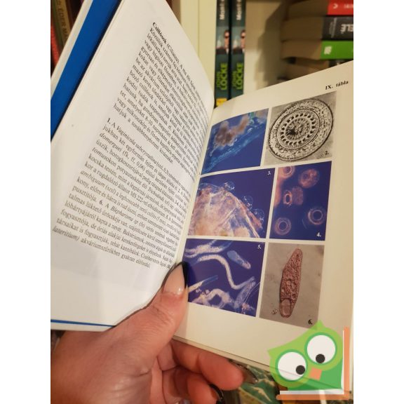 Lovas Béla: Édesvízi parányok 1-2. (2 kötet együtt) (Búvár zsebkönyv) (nagyon ritka)