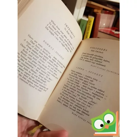 Edgar Allan Poe összes versei