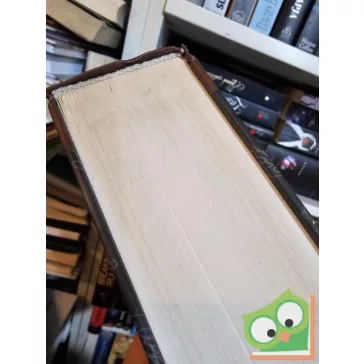 Edgar Allan Poe: Edgar Allan Poe összes művei I. (ritka)