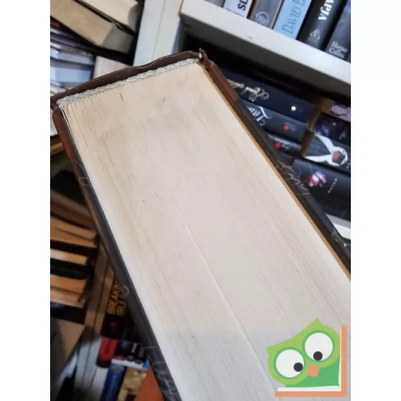 Edgar Allan Poe: Edgar Allan Poe összes művei I. (ritka)