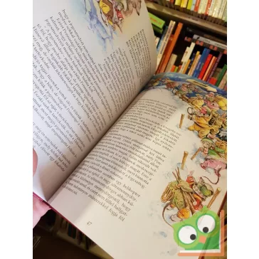Bajor Andor: Egy bátor kisegér viszontagságai