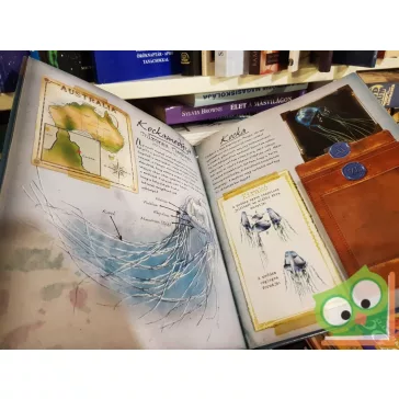 Phyllis Perry: Egy kutató naplója - Tengeri állatok