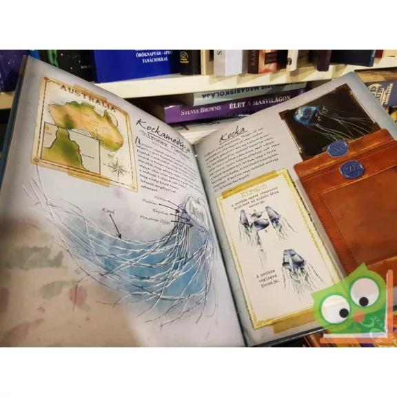 Phyllis Perry: Egy kutató naplója - Tengeri állatok